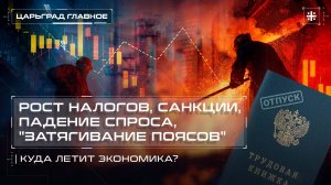 Рост налогов, санкции, падение спроса, "затягивание поясов"- куда летит экономика?
