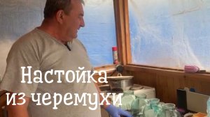 Рецепт настойки из красной черемухи #настойка #черемуха