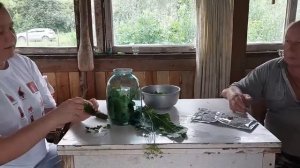 Квашеные огурцы на зиму холодным посолом.