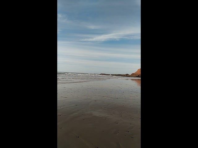 Красоты океана