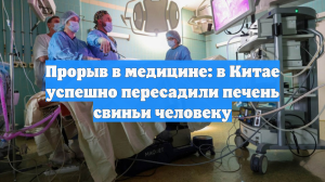 Прорыв в медицине: в Китае успешно пересадили печень свиньи человеку