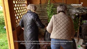 После массовых посадок деревьев волонтёры «Северстали» работают на отдельных городских территориях