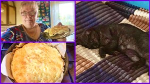 #1-09.10.25 🥮ШАРЛОТКА ГОТОВА 🌺 ЛЮСЯ ЗАБОЛЕЛА 🐈