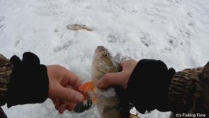 Зимняя рыбалка. Ловля на безмотылку со льда.