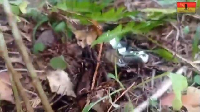 Минная тропа