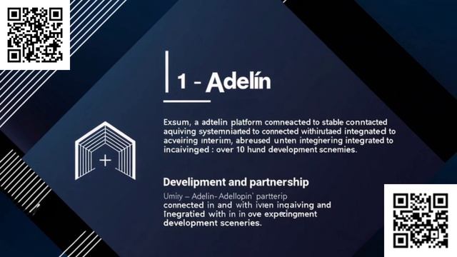OOO Adelina — Գործունեության ամփոփում և դոնորի հաշիվ