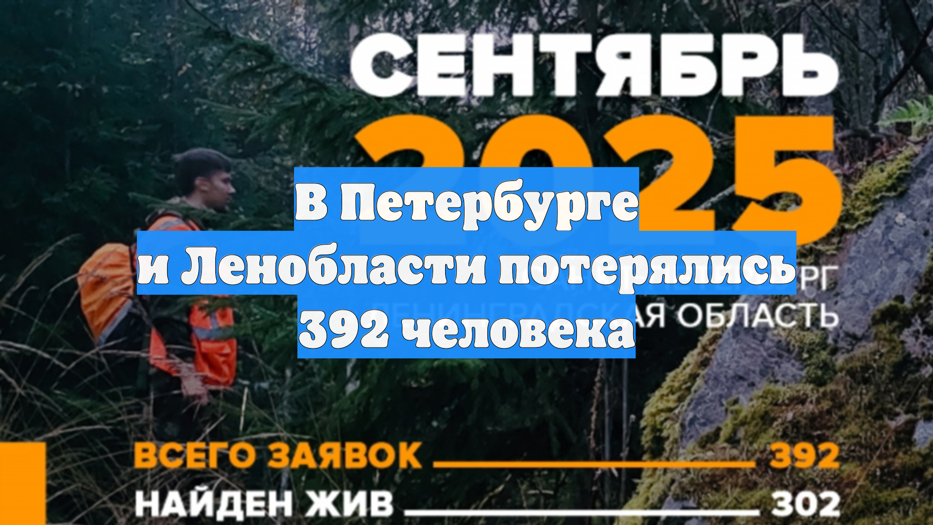 В Петербурге и Ленобласти потерялись 392 человека