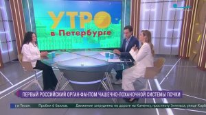 В России создали орган-фантом - модель чашечно-лоханочной системы почки