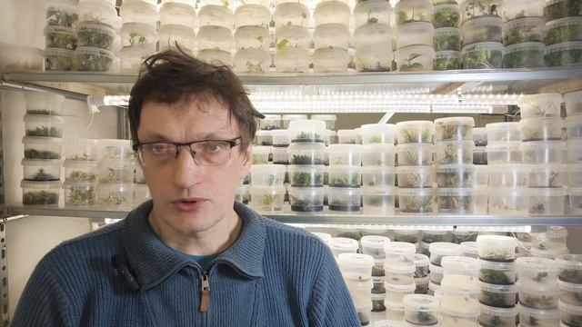 Вебинары по микроклоналке