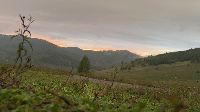 Атмосферное видео природы