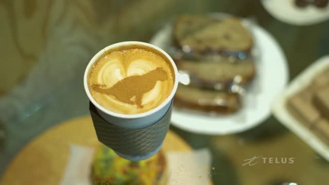 Vancouver Cat Cafe (Catfe) - The Purrfect Cafe