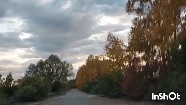 Стихи и песни. От души и для души ( авторские )...