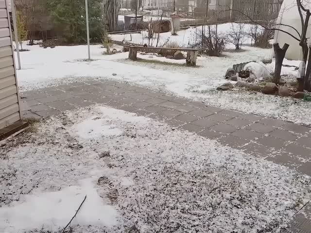 К посту 