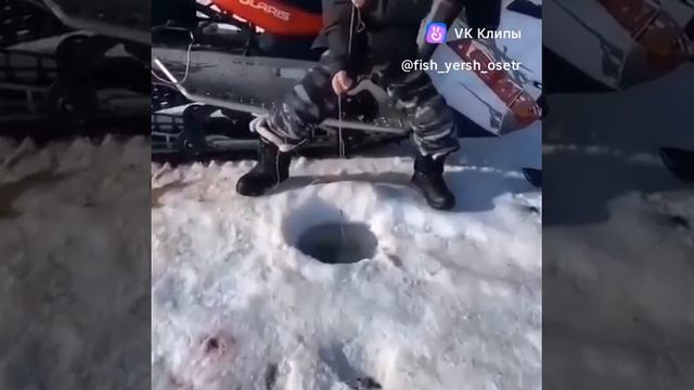 Отличная зимняя рыбалка!