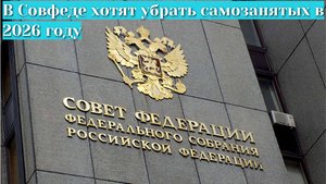 В Совфеде хотят убрать категорию самозанятых в 2026г.