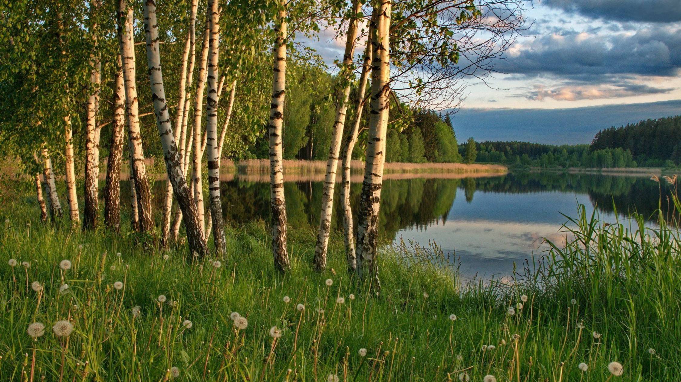 Россия,ты так красива