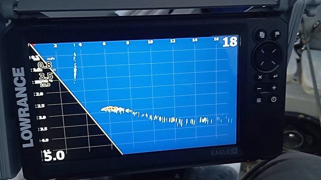 VID_20251009_063137
