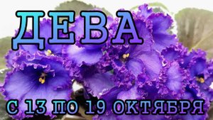 ДЕВА таро прогноз на неделю с 13 по 19 ОКТЯБРЯ 2025 года.