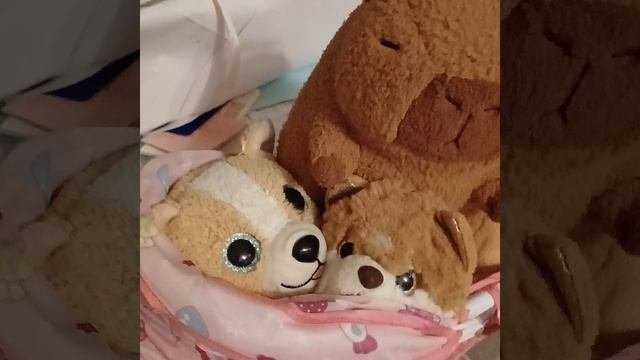 наш вечер