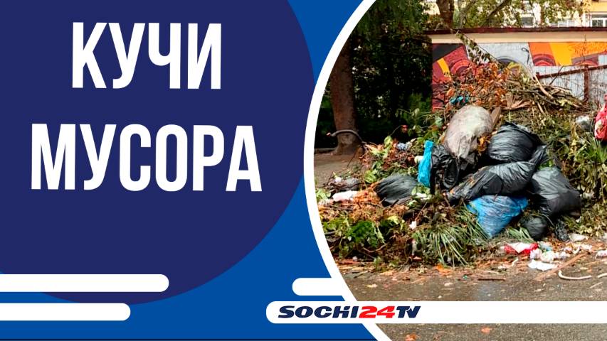 Сочинцы жалуются на скопление мусора