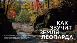 КАК ЗВУЧИТ ЗЕМЛЯ ЛЕОПАРДА. ГЛАВА ВТОРАЯ "КРАВЦОВСКИЕ ВОДОПАДЫ"