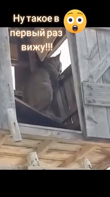 Место занято 
