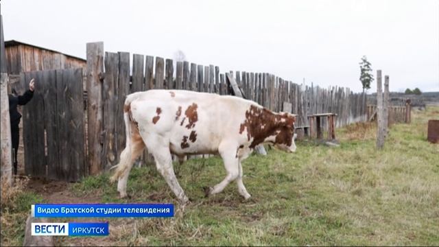 Жительница Братского района победила во Всероссийском конкурсе Женщина в агропромышленном комплексе