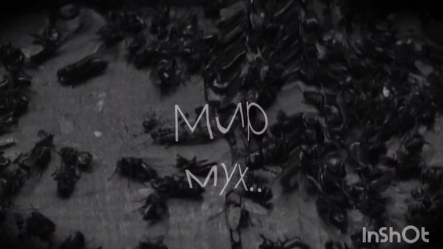 Мир мух! страшные истории,мистика
