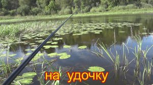 Удочка в тихом заливе иногда выручает при сильном ветре.