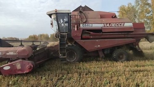 Колхоз жезөкшелері видео Колхоз жезөкшелері видео