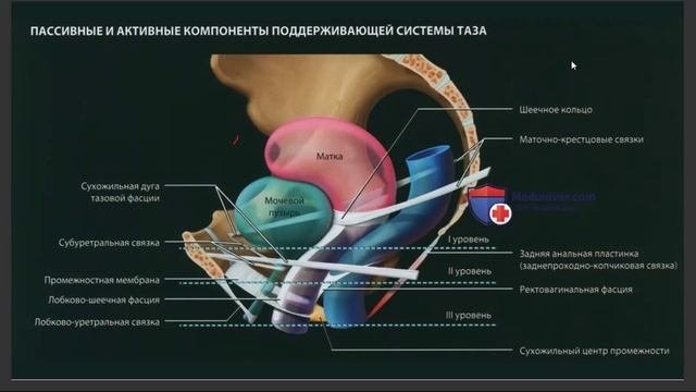 Женское здоровье: проверенные методы восстановления