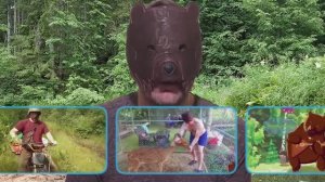 Мишкино приветствие