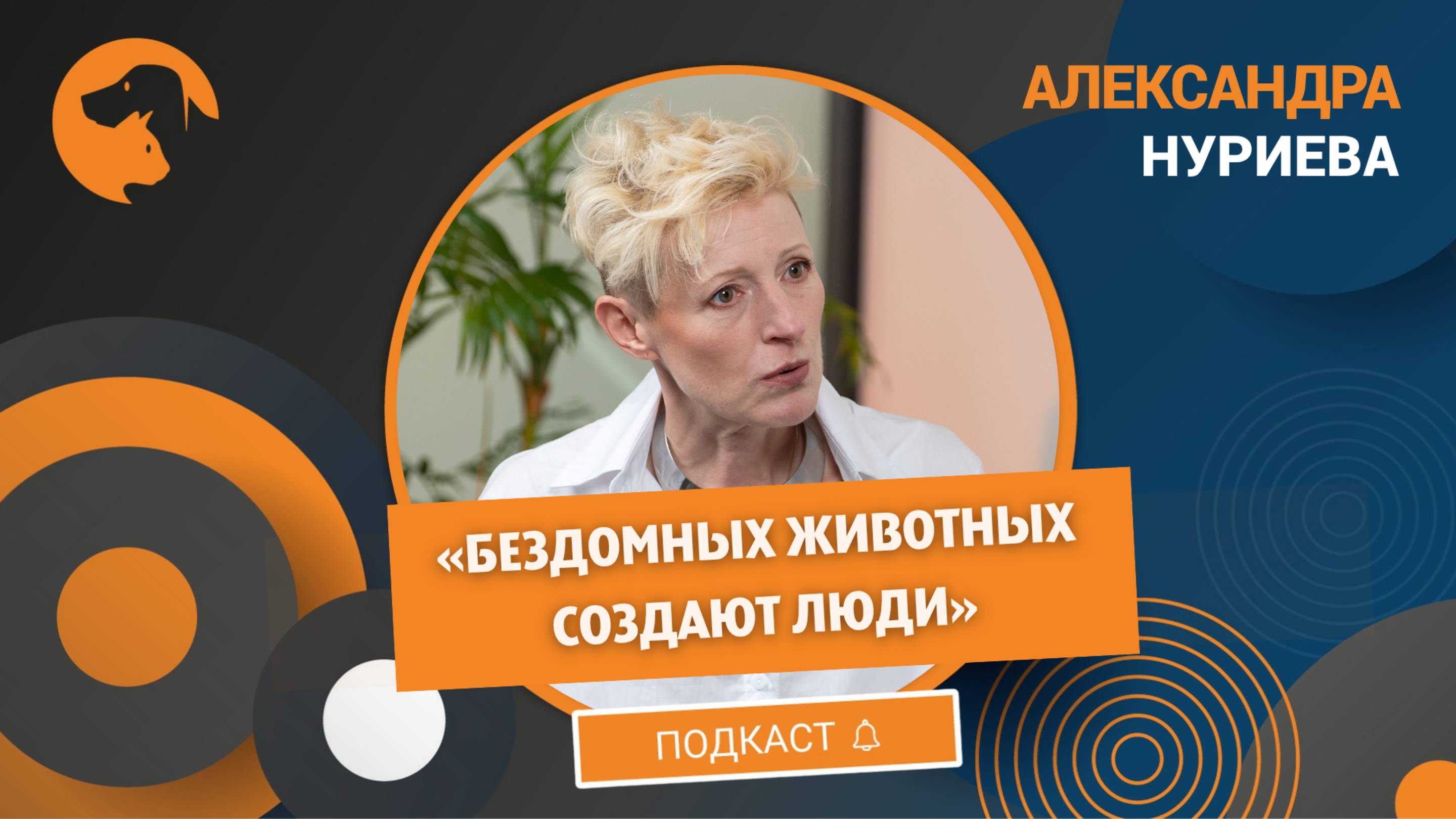 Решить проблему уличных собак и кошек можно за 5–7 лет, считает зоозащитник
