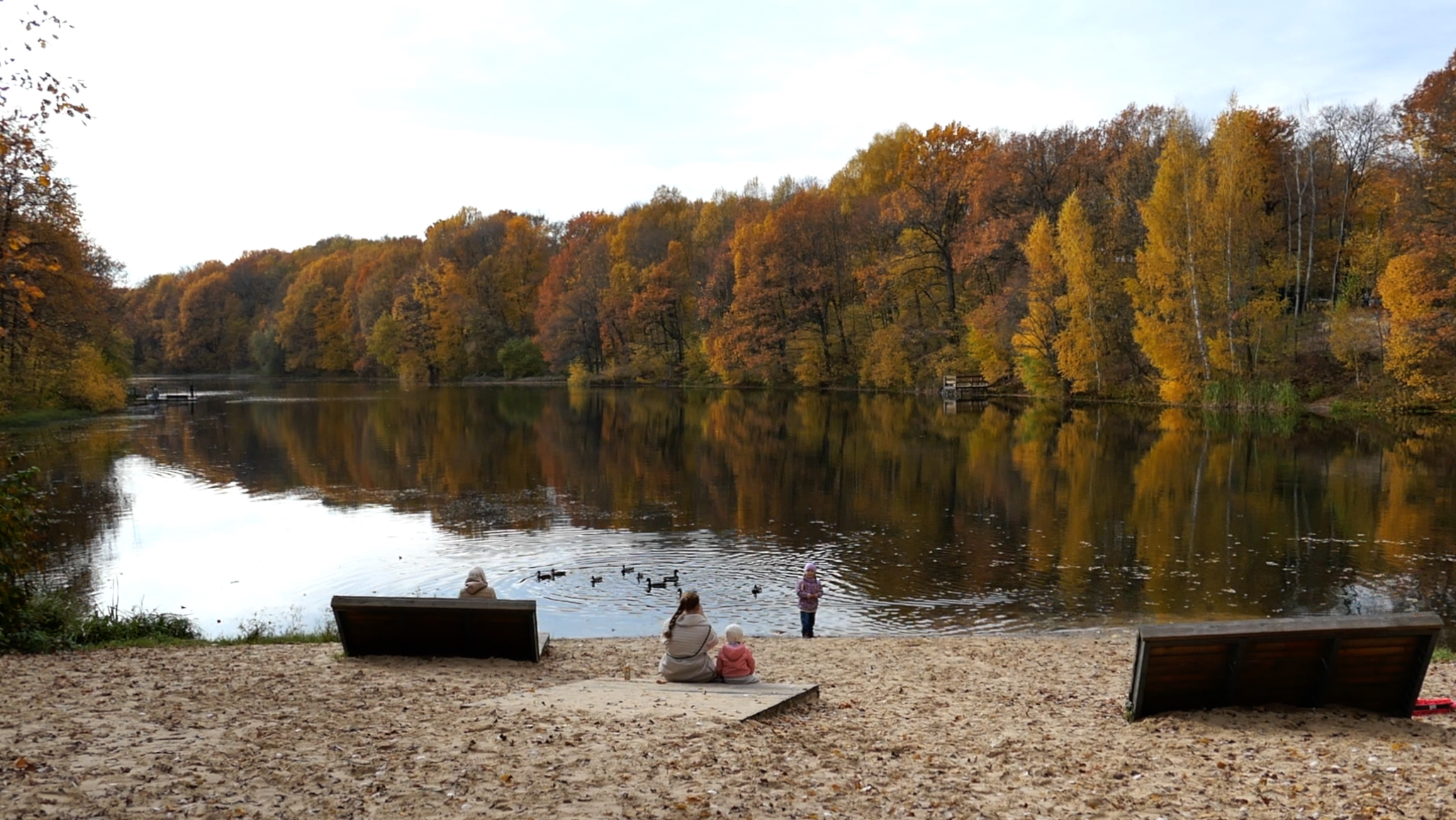 Щёлоковский хутор. Золотая осень. Нижний Новгород. Октябрь 2025.