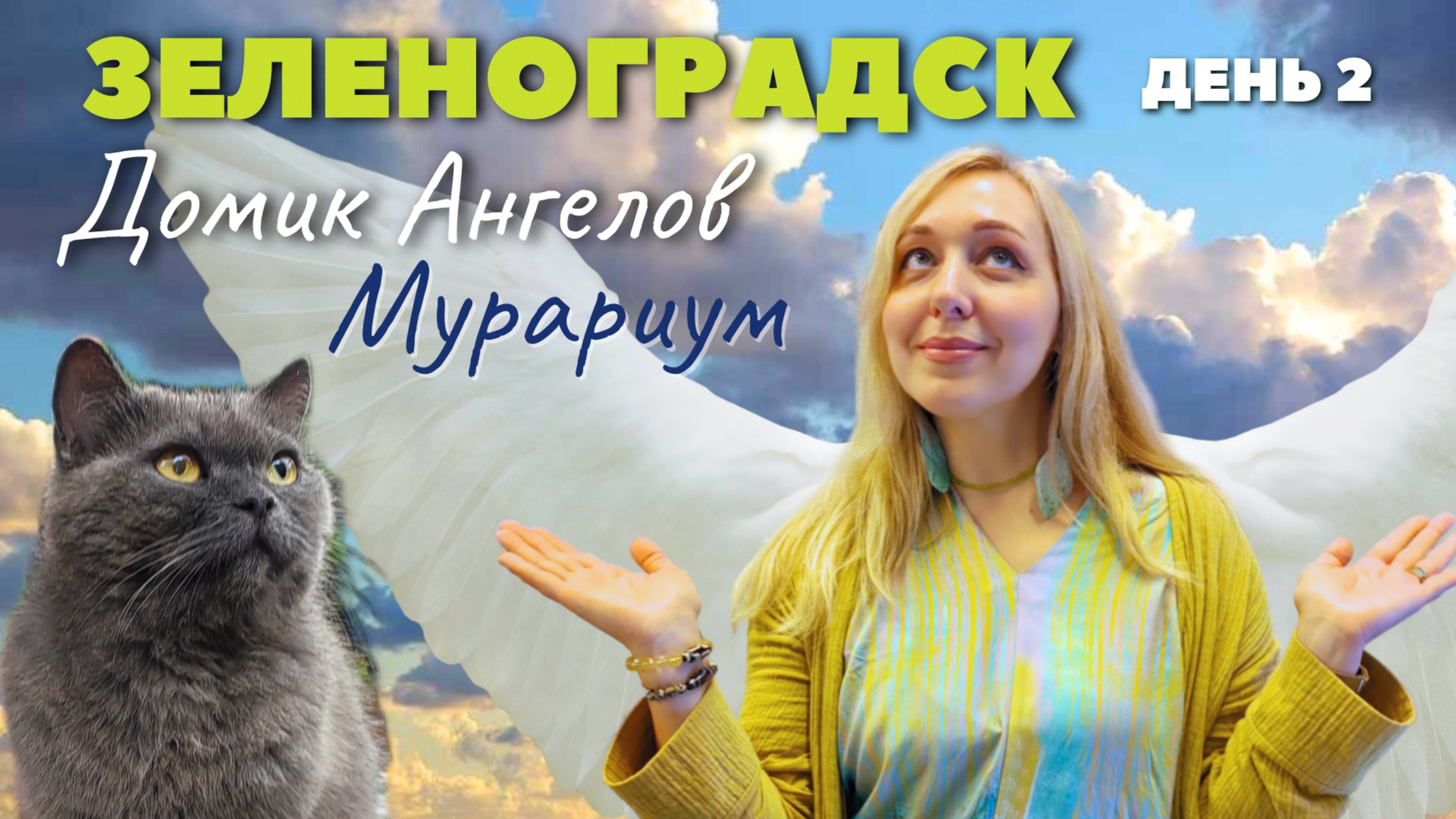 ВЛОГ. ОТДЫХ В ЗЕЛЕНОГРАДСКЕ. ДЕНЬ ВТОРОЙ.  #зеленоградск  #мурариум #домикангелов #ионова .