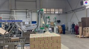 Работа коллаборативных роботов на производстве