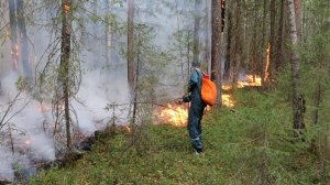 Итоги пожароопасного сезона