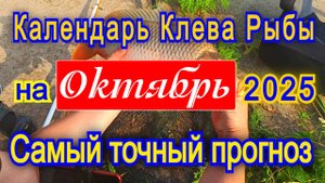 Календарь клева рыбы на ОКТЯБРЬ 2025