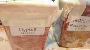 Распаковка посылки с Цитрусами из Новосибирска