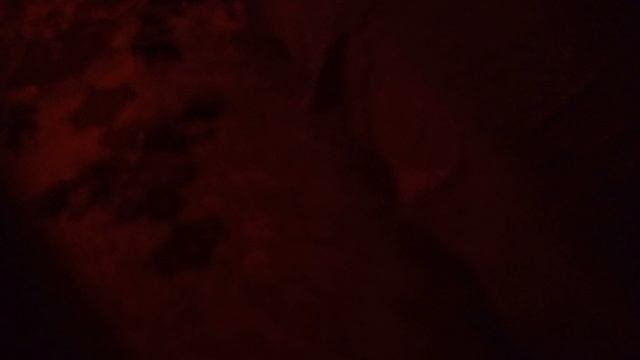 пока что не знаю что это