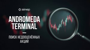 Andromeda Terminal: Поиск недооценённых акций