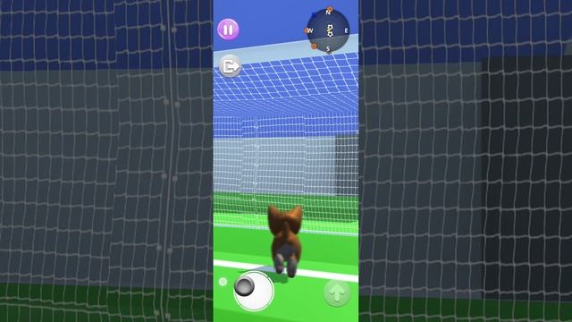 котик пушистик виски играет в футбол ⚽!