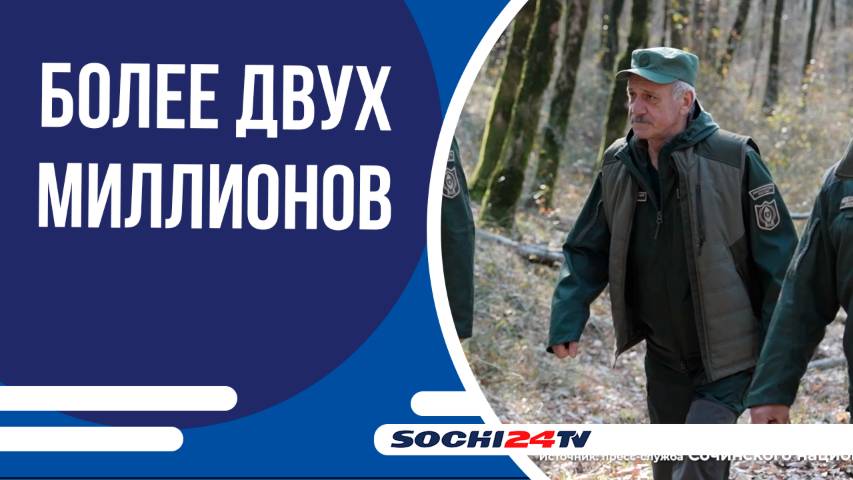 Сочинский нацпарк посетило более двух миллионов туристов этим летом