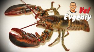 "Молчание - золото"