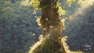 Истории из жизни|Одно примирение в парке, которое изменило всё|Аудио рассказы|Аудиокниги слушать