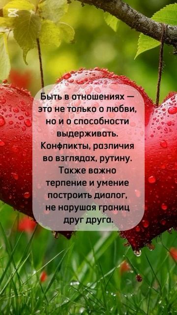 shorts любовь любовьиотношения психология психологияжизни