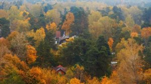 Поезд в Золотую осень