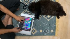 Проект Муравей - Рандом21