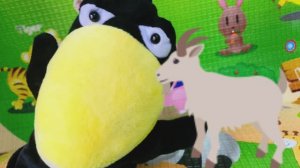 Кто зовёт ворону Асю?