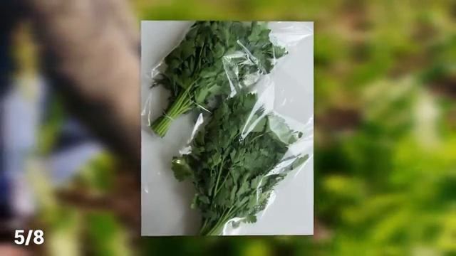 НИКОГДА не ставьте эти продукты в холодильник Выньте их немедленно
